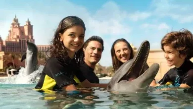 خليج الدلافين في دبي