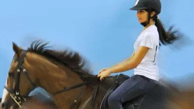 نادي الصحراء للفروسية