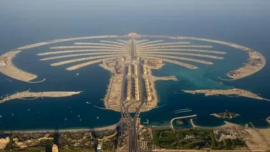 مطاعم جزيرة النخلة