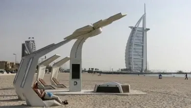 النخلة الذكية في دبي