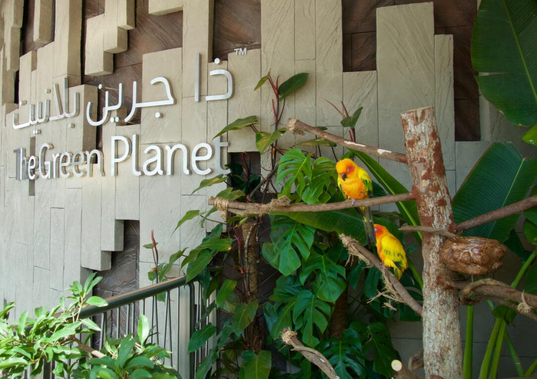 منتزه ذا جرين بلانيت-اماكن السياحة في دبي للاطفال