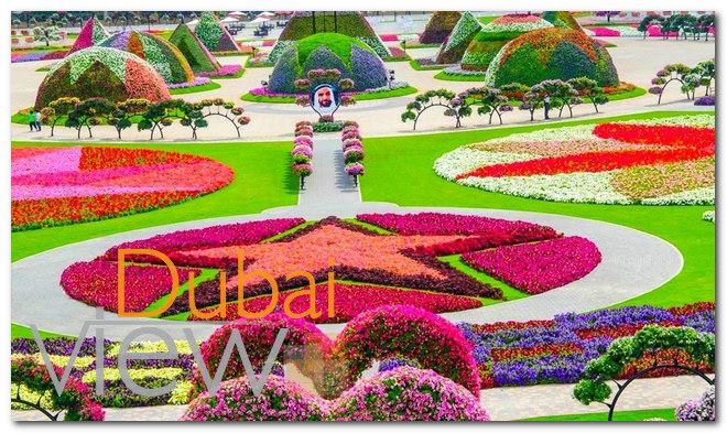 مواعيد زيارة حديقة الزهور في دبي