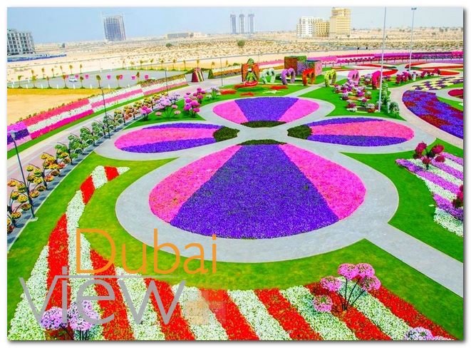 حديقة الزهور في دبي من اجمل حدائق دبي المشهورة