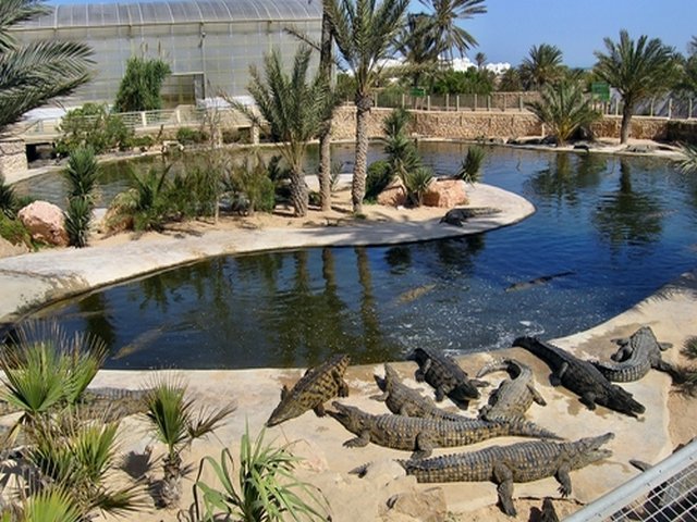 حديقة التماسيح من اجمل حدائق دبي
