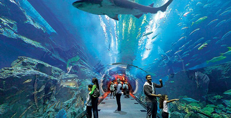 اكواريوم دبي مول وحديقة الحيوانات المائية