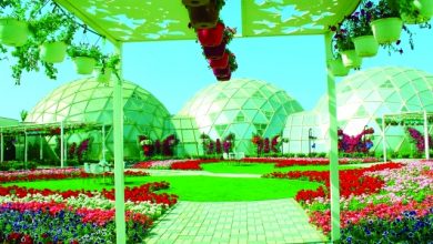 حديقة الفراشات دبي