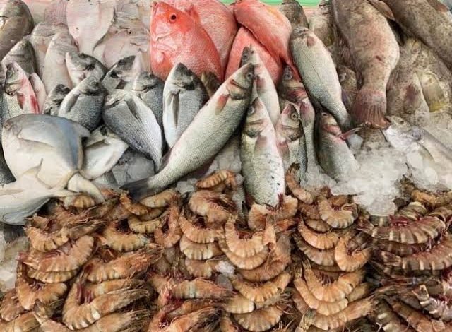 سوق السمك جميرا