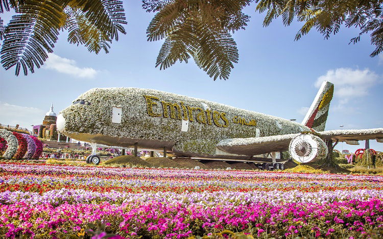 Dubai Miracle Garden