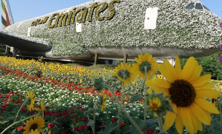 Dubai Miracle Garden