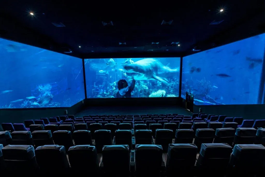 Dubai Mall Reel Cinemas