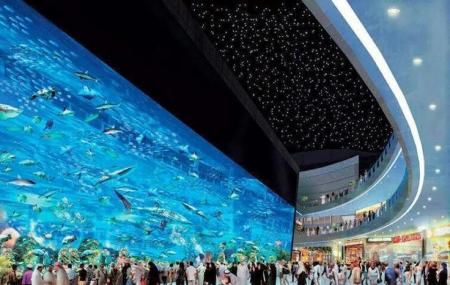 Dubai Mall Aquarium