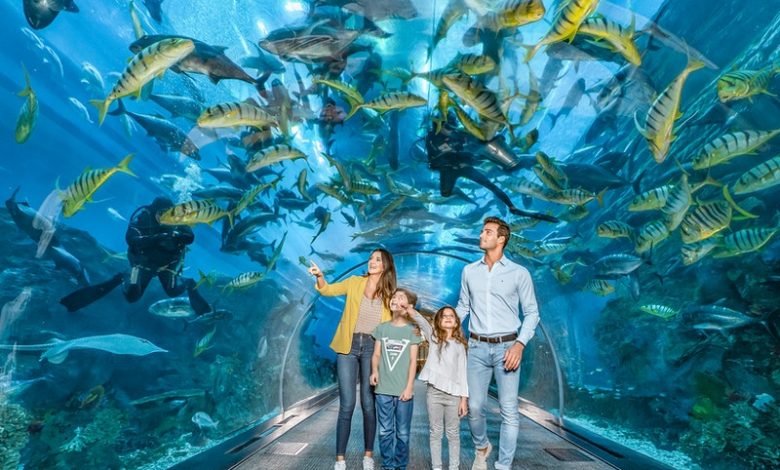 Dubai Mall Aquarium