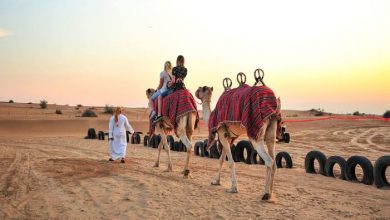شركات تنظيم رحلات سفاري دبي