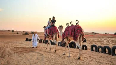 شركات تنظيم رحلات سفاري دبي