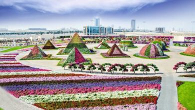 أسعار تذاكر حدائق دبي الترفيهية