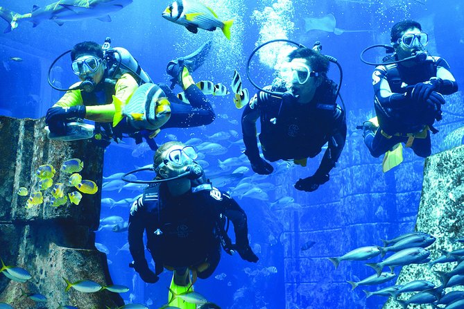 Scuba Diving In Dubai