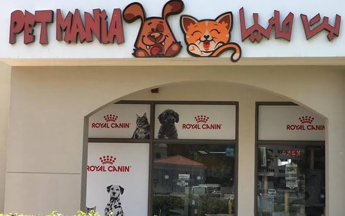 مواقع بيع أكل القطط في دبي