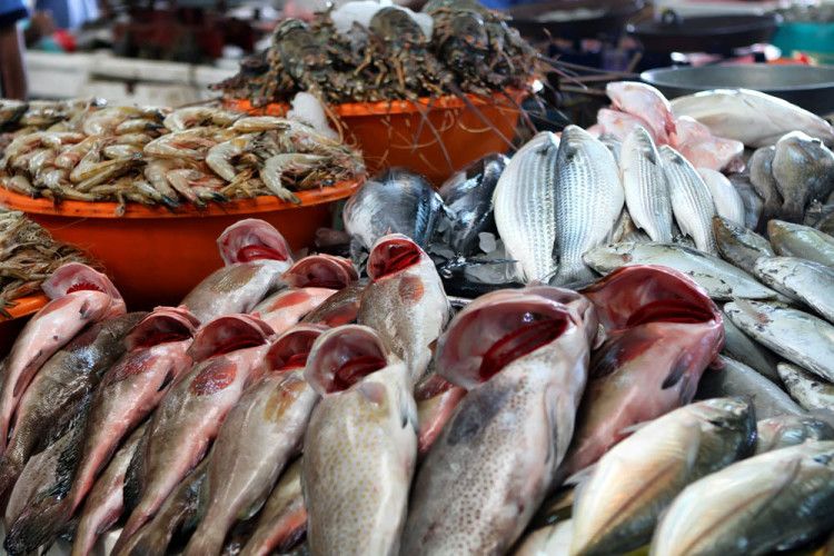 Fish Market Dubai