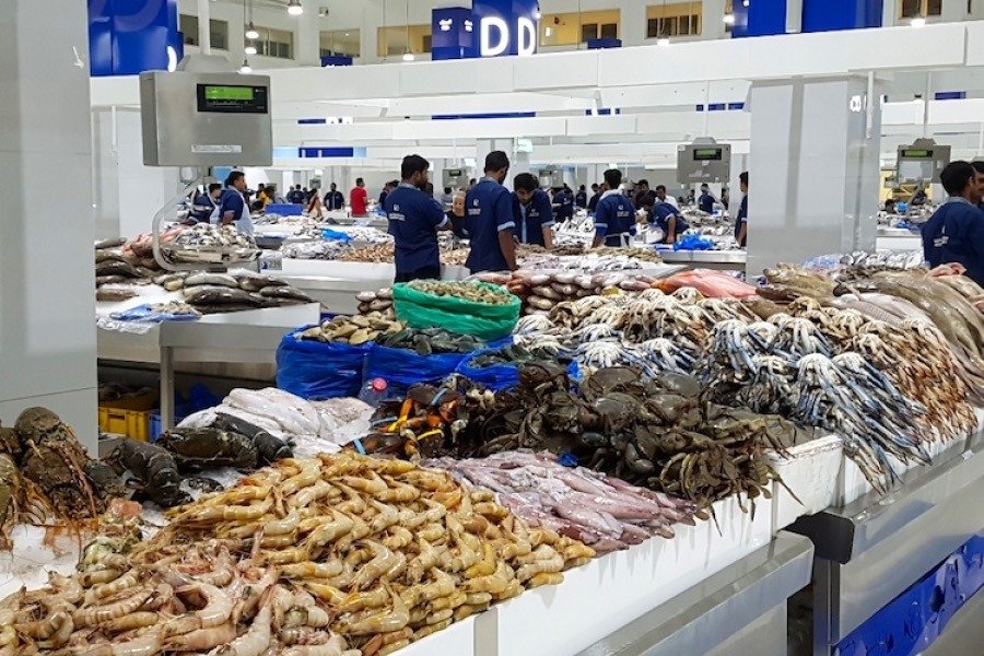Fish Market Dubai