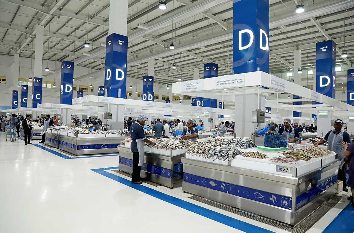 Fish Market Dubai 2022 opening time restaurant Location فيو دبي