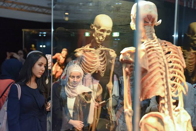 متحف الجسد أبوظبي