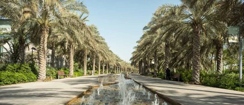 حديقة ام الامارات ابوظبي