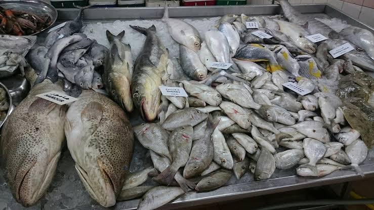 سوق السمك ميناء زايد