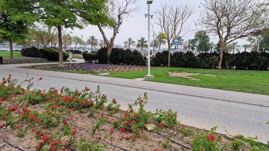آراء زوار حديقة الخور دبي