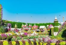 حديقة الزهور دبي