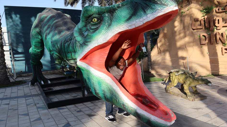 رسوم دخول حديقة الديناصورات في دبي رسوم دخول حديقة الديناصورات في دبي
