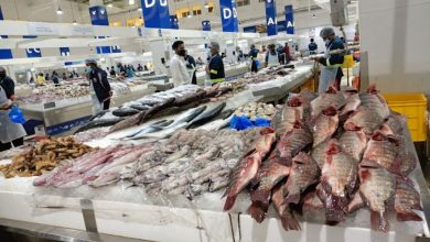 سوق السمك دبي