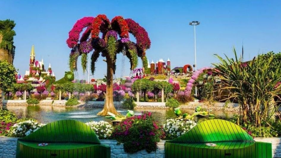 نبذة عن حديقة الزهور دبي