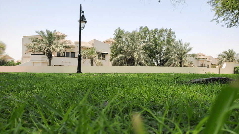 آراء الزوار في حديقة مشرف دبي 