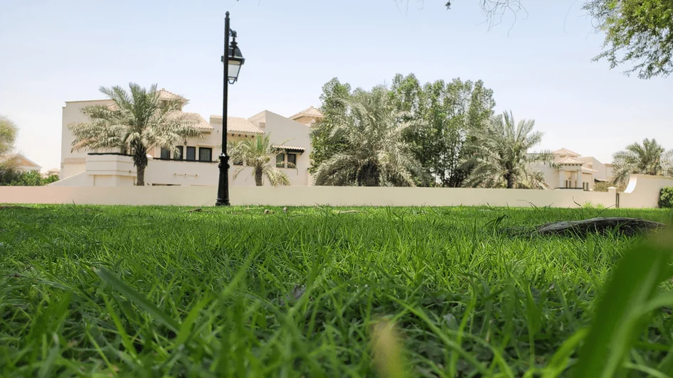آراء الزوار في حديقة مشرف دبي 