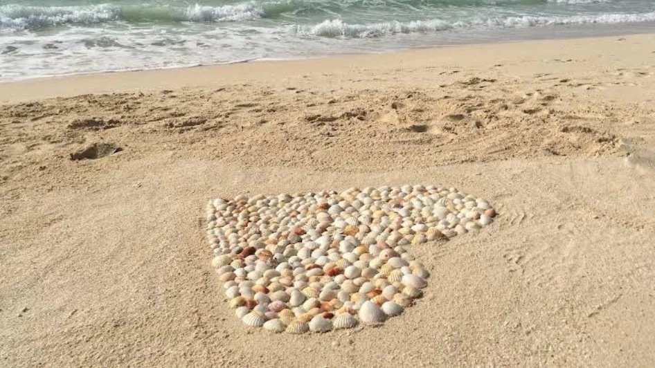شاطئ ميركاتو Mercato Beach
