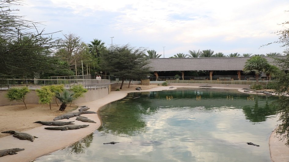 موقع حديقة التماسيح في دبي