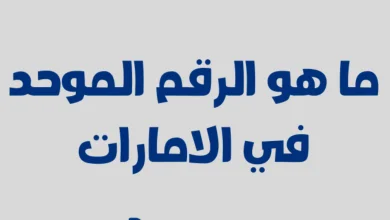 استعلام الرقم الموحد في دبي